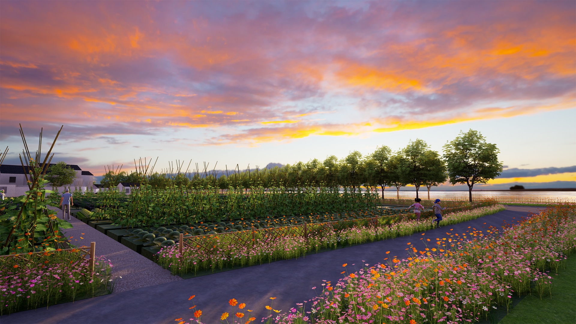 吳江美麗鄉(xiāng)村改造