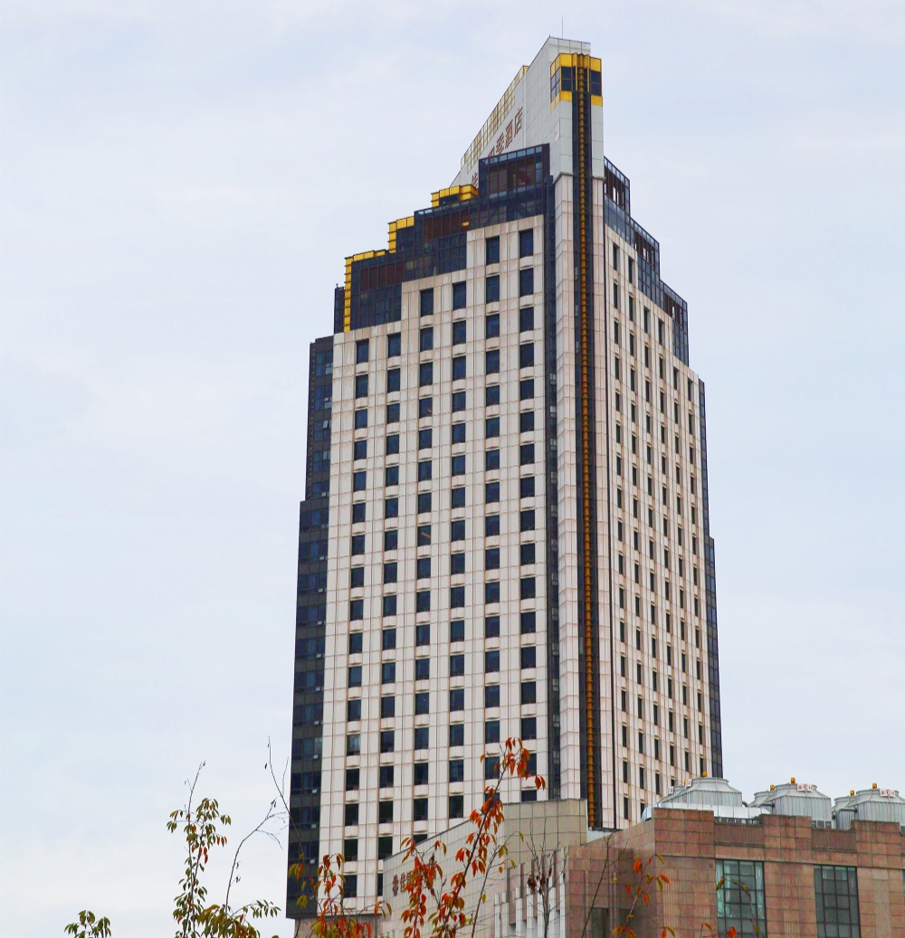 新洲國(guó)際大酒店